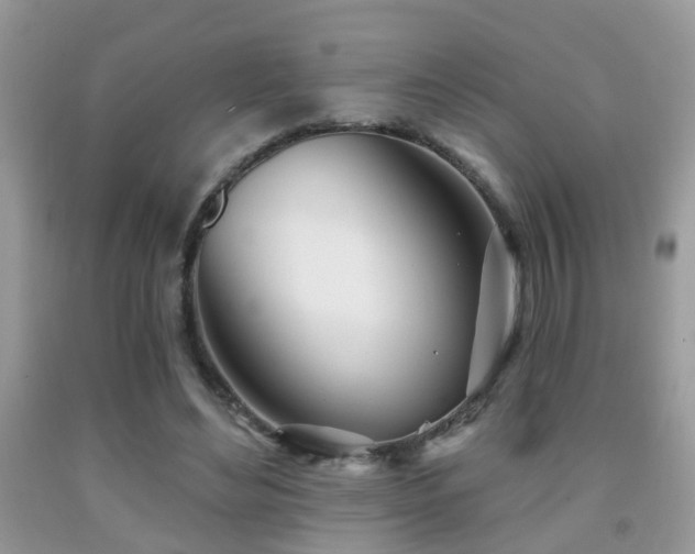 X0000091990492200709061421