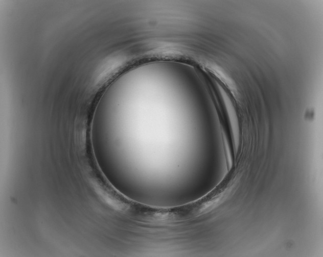 X0000091990493200709061421