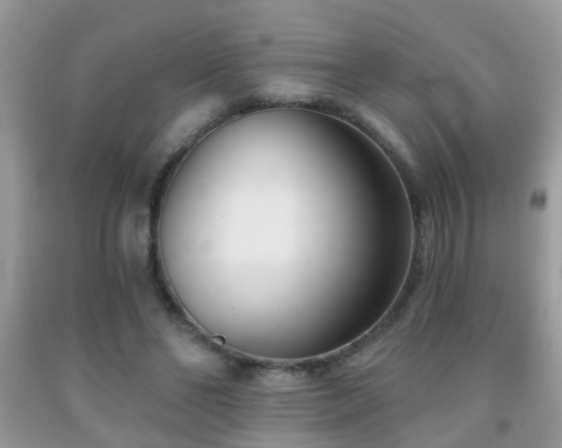 X0000091990494200709061421