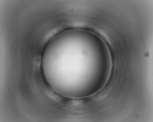 X0000091990495200709061421