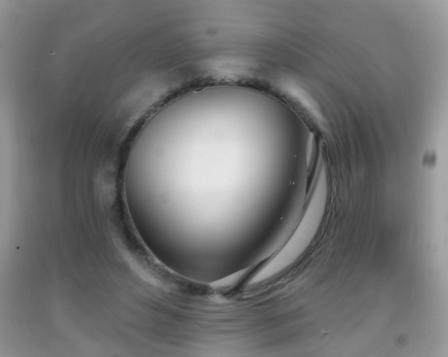X0000091990496200709061421