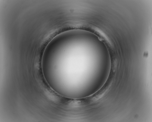 X0000091990497200709061421