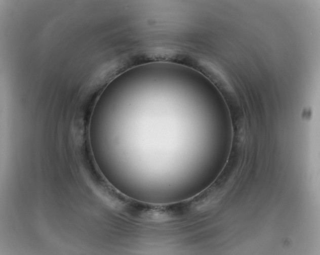X0000091990498200709061421