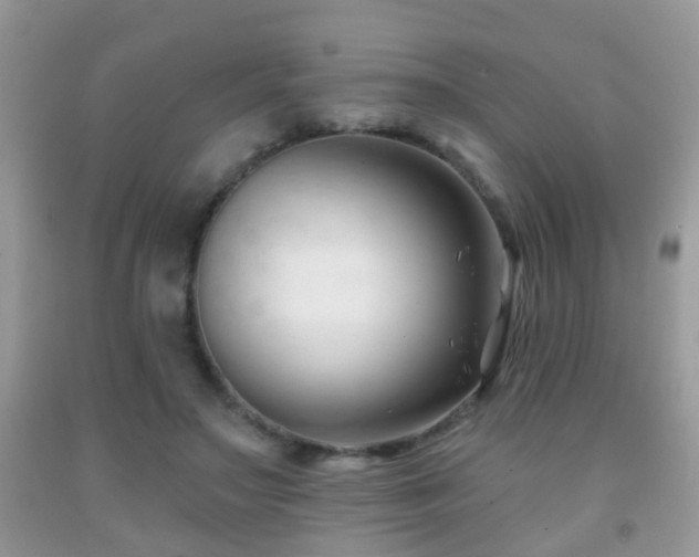 X0000091990499200709061421
