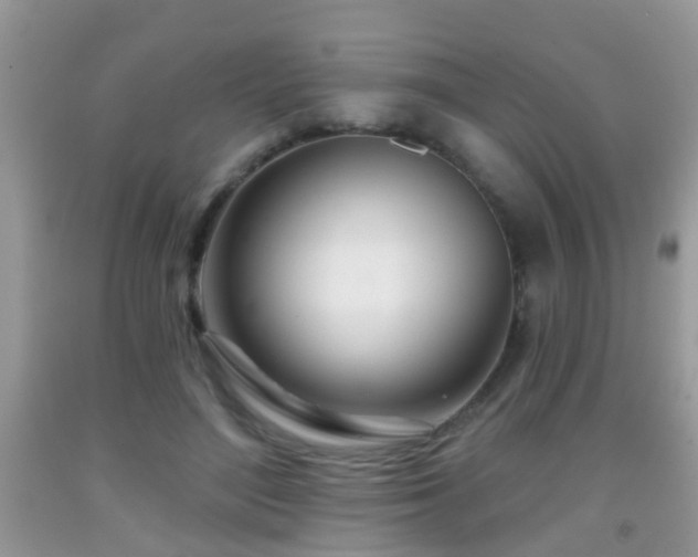 X0000091990500200709061421