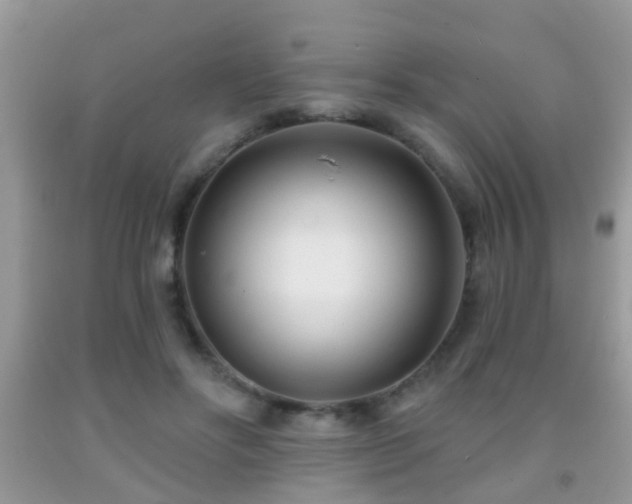 X0000091990502200709061421