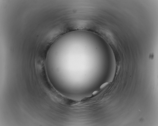 X0000091990503200709061421