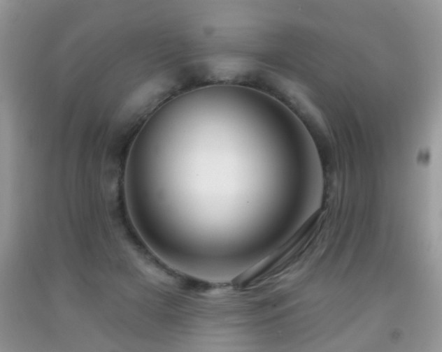 X0000091990505200709061421