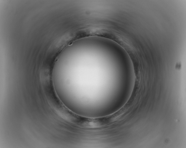 X0000091990506200709061421