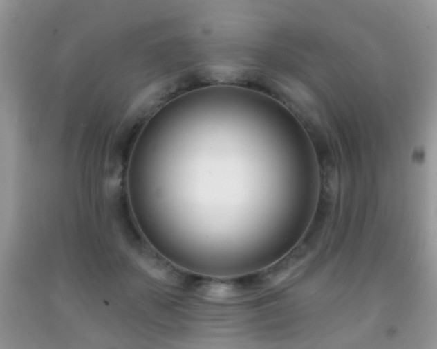 X0000091990507200709061421
