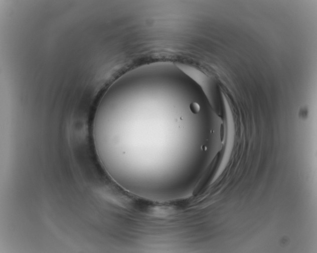 X0000091990508200709061421