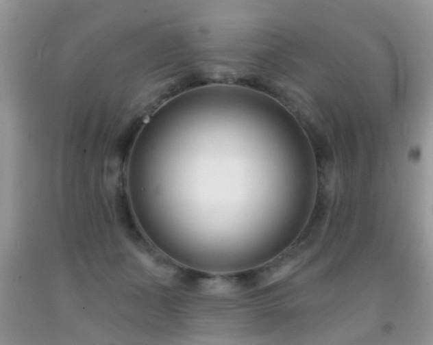X0000091990511200709061421