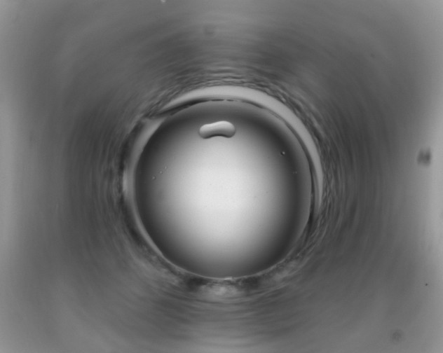 X0000091990512200709061421