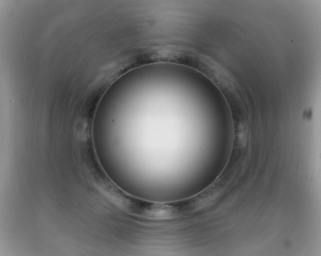 X0000091990514200709061421