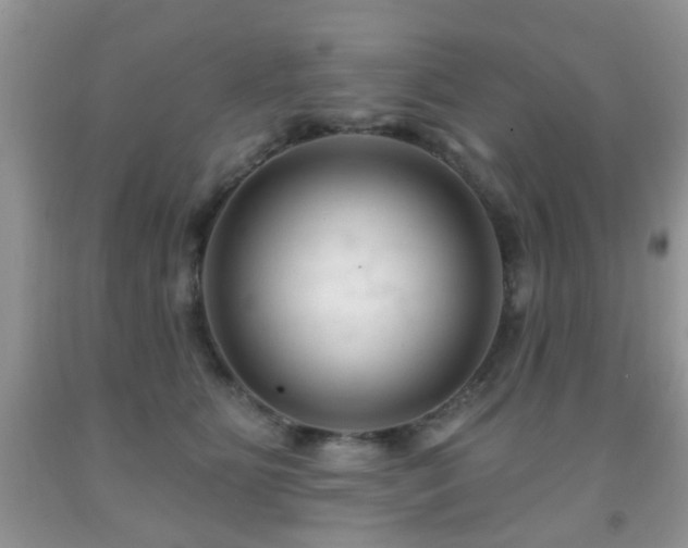 X0000091990515200709061421