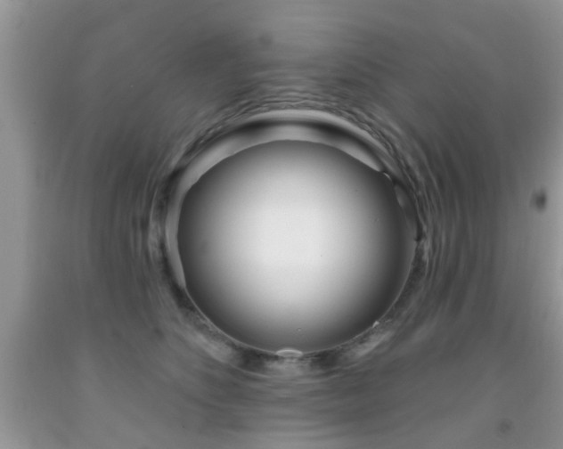 X0000091990516200709061421