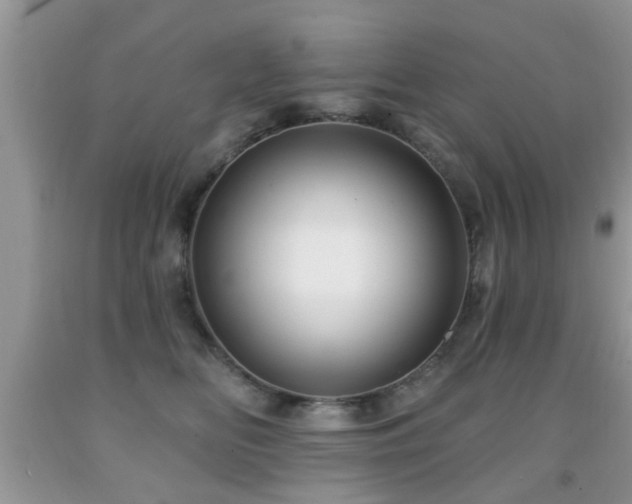 X0000091990518200709061421