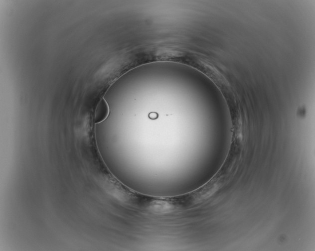 X0000091990519200709061421