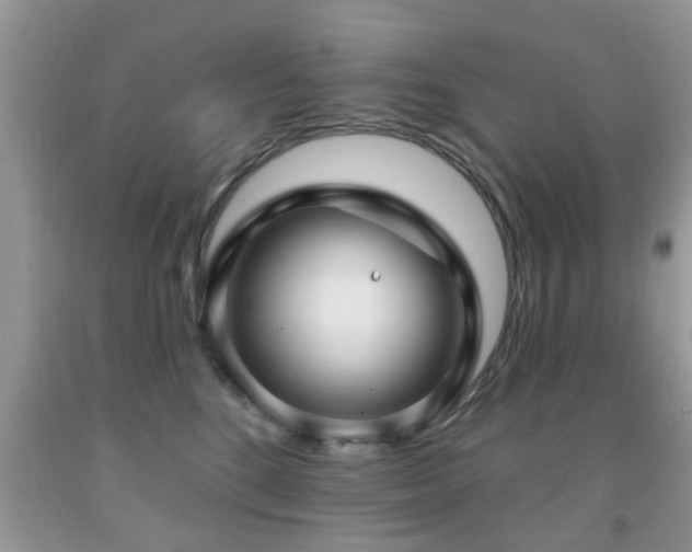 X0000091990520200709061421