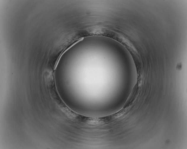 X0000091990521200709061421
