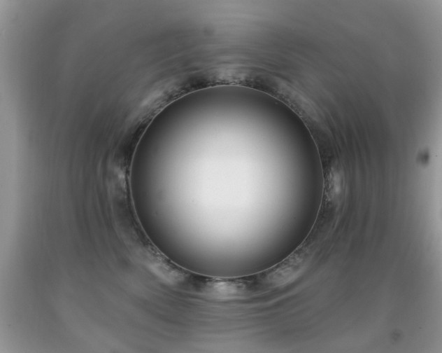 X0000091990522200709061421