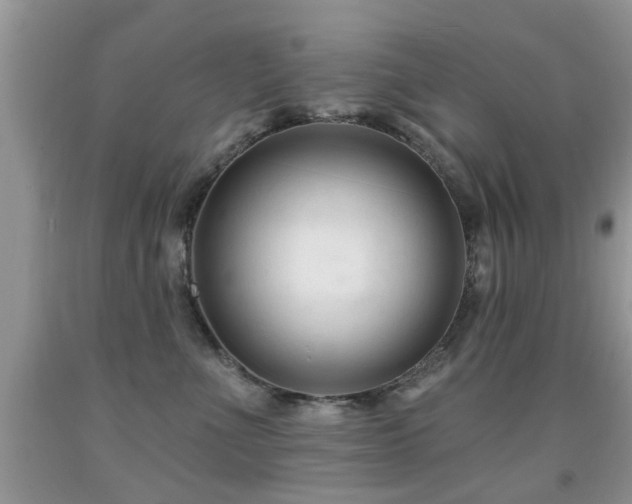 X0000091990523200709061421