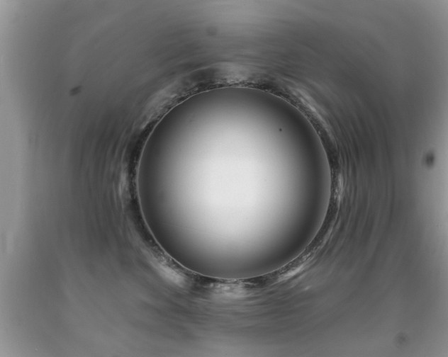 X0000091990524200709061421