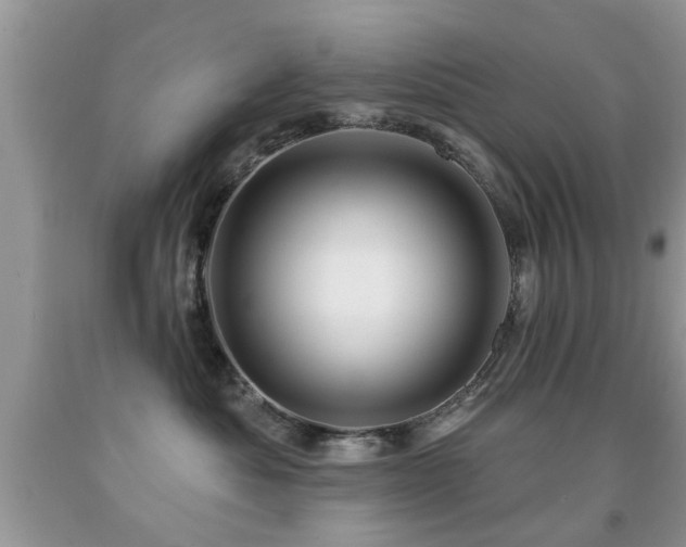 X0000091990525200709061421
