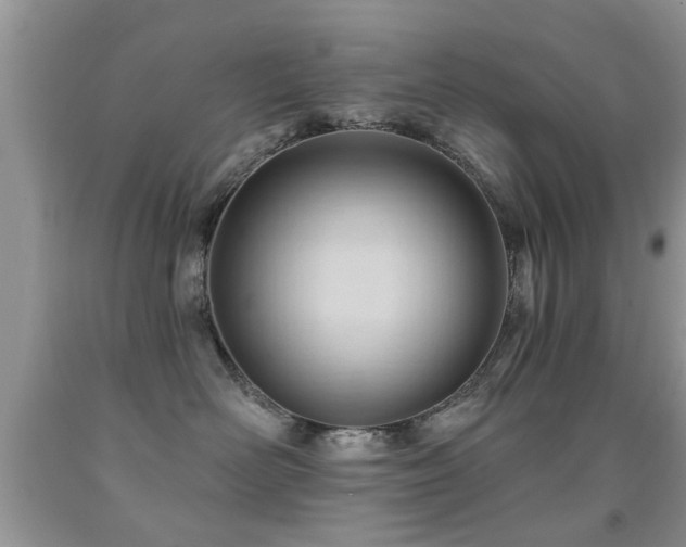 X0000091990526200709061421
