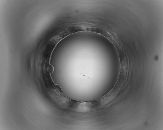 X0000091990527200709061421