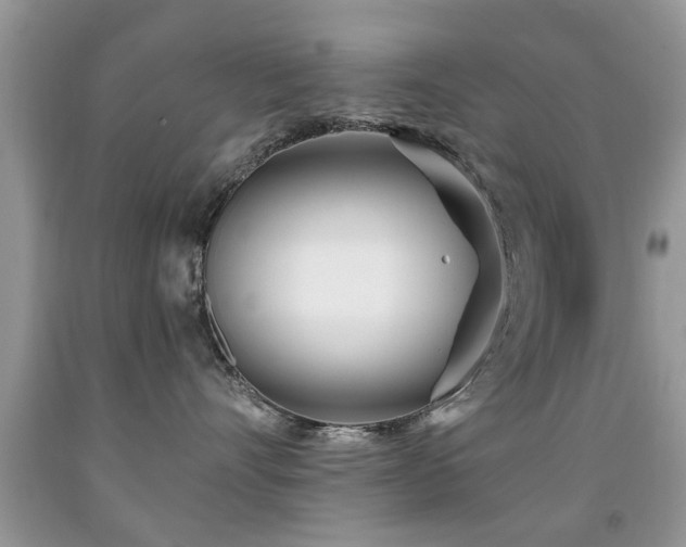 X0000091990528200709061421