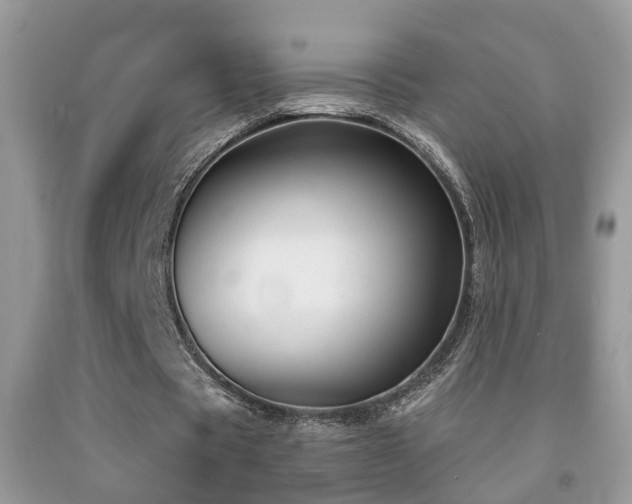 X0000091990529200709061420