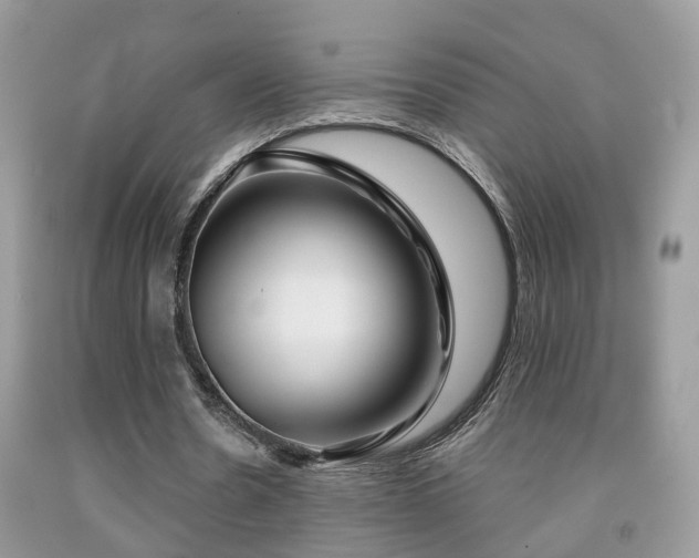 X0000091990530200709061420