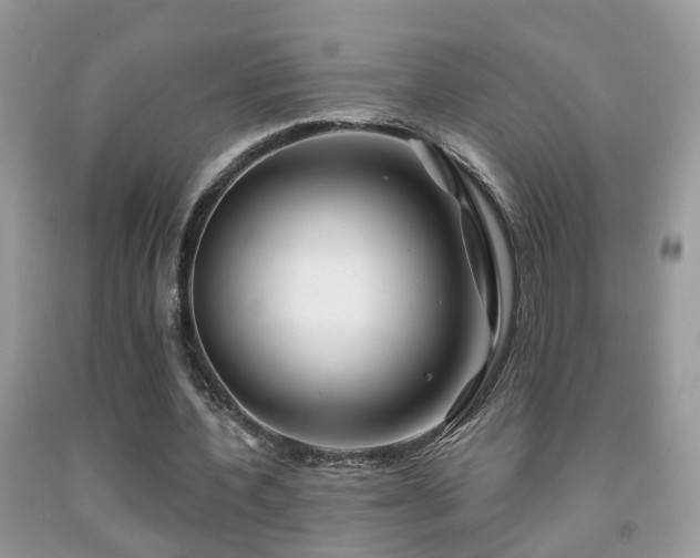 X0000091990532200709061420