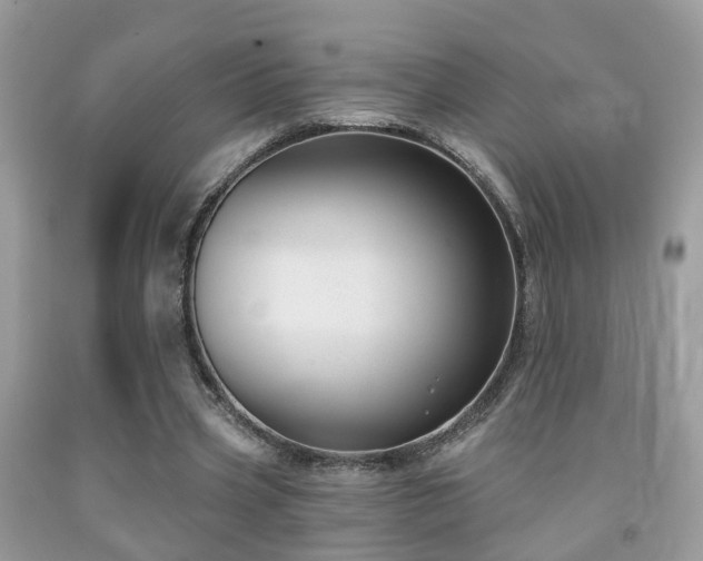 X0000091990533200709061420