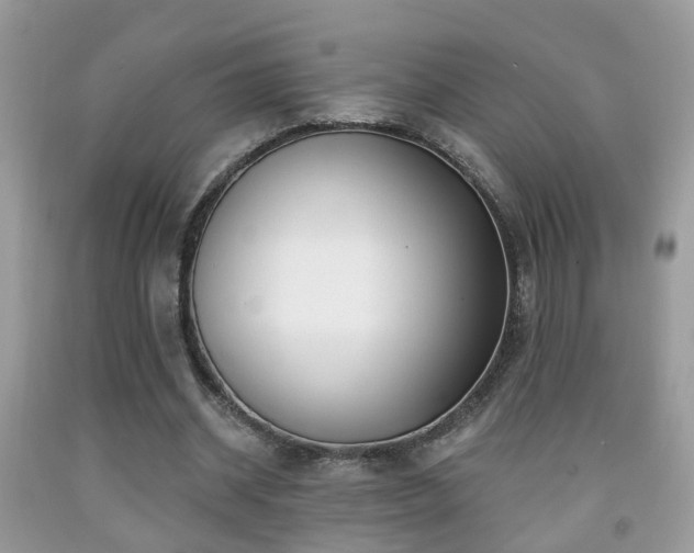 X0000091990534200709061420