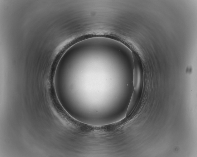 X0000091990536200709061420