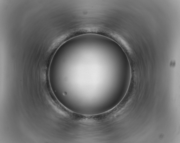 X0000091990537200709061420