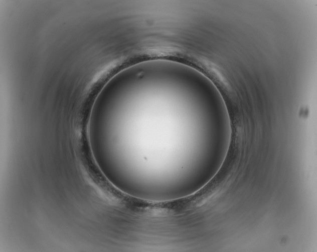 X0000091990539200709061420