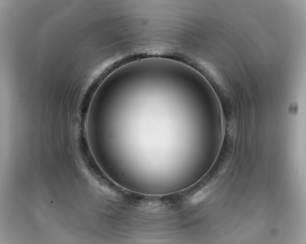 X0000091990540200709061420