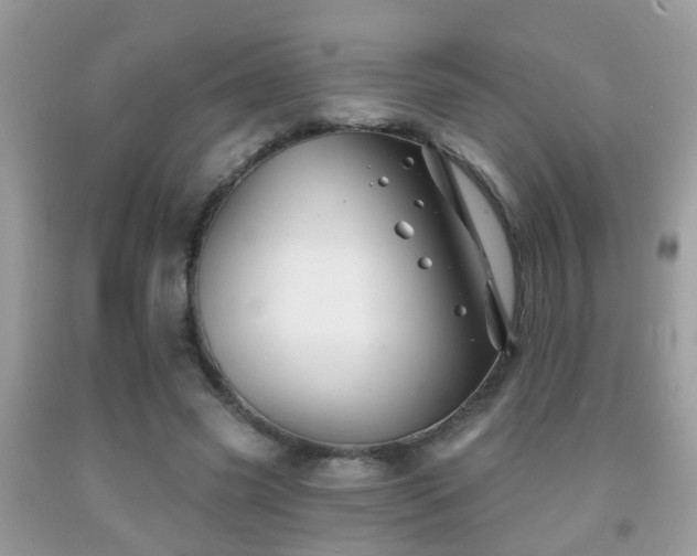 X0000091990541200709061420