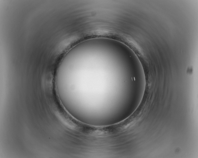 X0000091990542200709061420