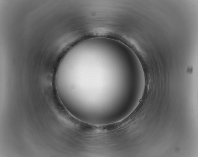 X0000091990543200709061420