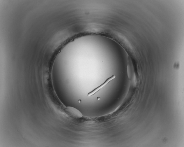 X0000091990544200709061420