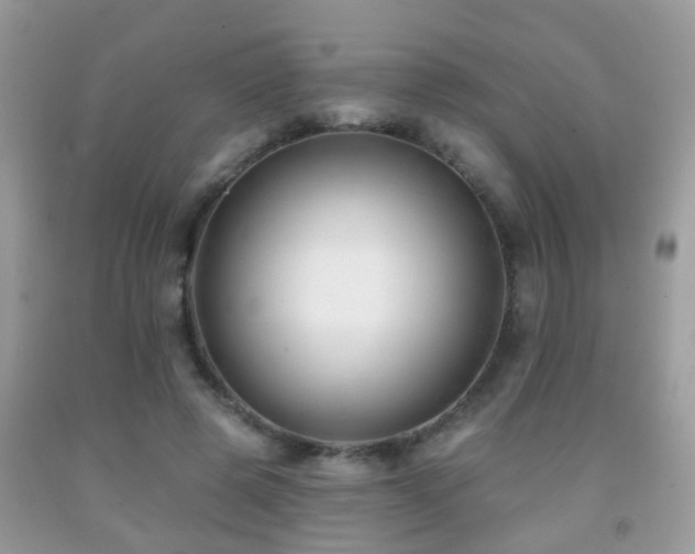 X0000091990545200709061420