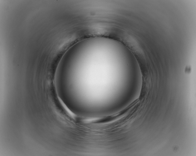 X0000091990546200709061420