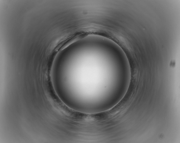 X0000091990547200709061420