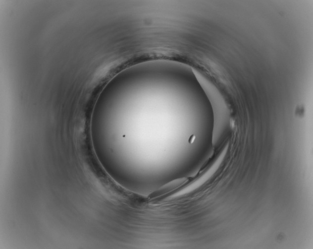 X0000091990548200709061420