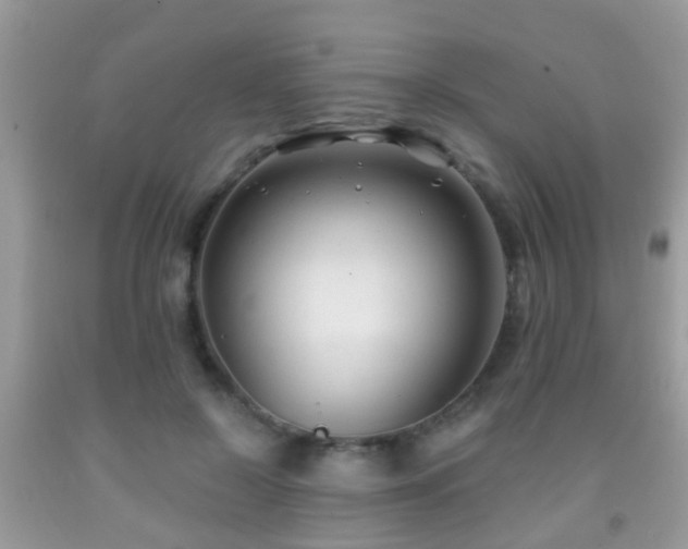 X0000091990550200709061420