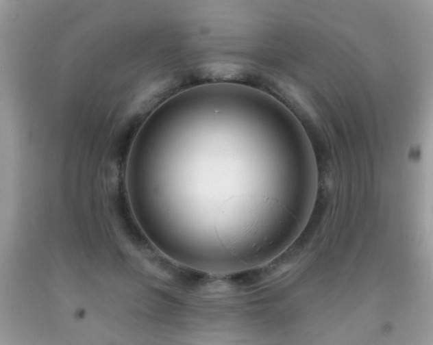 X0000091990551200709061420